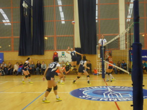 DSCN0939