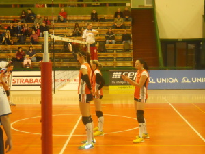 DSCN0947